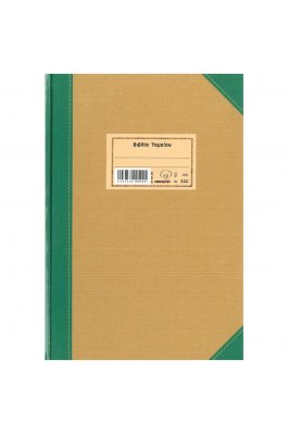 Typotrust Βιβλίο Ταμείου 100 Φύλλα (522)