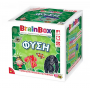 BrainBox Εκπαιδευτικό Παιχνίδι Φύση (93003) BrainBox Εκπαιδευτικό Παιχνίδι Φύση (93003)