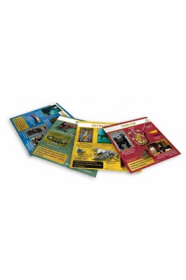 BrainBox Επιτραπέζιο Παιχνίδι Harry Potter για 1+ Παίκτες (93046) BrainBox Επιτραπέζιο Παιχνίδι Harry Potter για 1+ Παίκτες (93046)