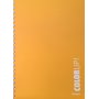Daskalou Τετράδιο Σπιράλ Α4 Color up 2 Θεμάτων 60 Φύλλων (7391)