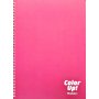 Daskalou Τετράδιο Σπιράλ Α4 Color up 2 Θεμάτων 60 Φύλλων (7391) Daskalou Τετράδιο Σπιράλ Α4 Color up 2 Θεμάτων 60 Φύλλων (7391)