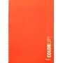 Daskalou Τετράδιο Σπιράλ Α4 Color up 3 Θεμάτων 90 Φύλλων (7445) Daskalou Τετράδιο Σπιράλ Α4 Color up 3 Θεμάτων 90 Φύλλων (7445)
