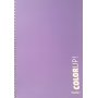 Daskalou Τετράδιο Σπιράλ Α4 Color up 3 Θεμάτων 90 Φύλλων (7445)