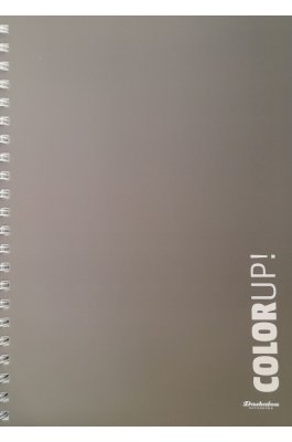 Daskalou Τετράδιο Σπιράλ Α4 Color Up 4 Θεμάτων 120 Φύλλων Daskalou Τετράδιο Σπιράλ Α4 Color Up 4 Θεμάτων 120 Φύλλων