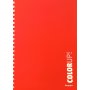 Daskalou Τετράδιο Σπιράλ Α4 Color Up 4 Θεμάτων 120 Φύλλων
