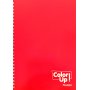 Daskalou Τετράδιο Σπιράλ 17 x 25 cm Color Up 2 Θεμάτων 60 Φύλλων Daskalou Τετράδιο Σπιράλ 17 x 25 cm Color Up 2 Θεμάτων 60 Φύλλων
