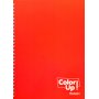 Daskalou Τετράδιο Σπιράλ 17 x 25 cm Color Up 2 Θεμάτων 60 Φύλλων Daskalou Τετράδιο Σπιράλ 17 x 25 cm Color Up 2 Θεμάτων 60 Φύλλων