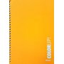 Daskalou Τετράδιο Σπιράλ 17 x 25 cm Color Up 1 Θέμα 30 Φύλλων Daskalou Τετράδιο Σπιράλ 17 x 25 cm Color Up 1 Θέμα 30 Φύλλων