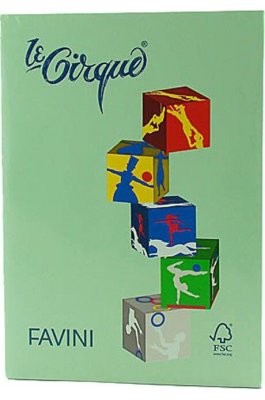 Favini Χαρτί Εκτύπωσης A4 80γρ. 500 φύλλα Πράσινο (107) Favini Χαρτί Εκτύπωσης A4 80γρ. 500 φύλλα Πράσινο (107)