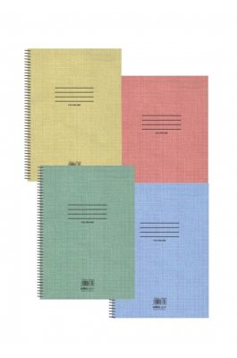 Salko Τετράδιο Σπιράλ Ριγέ Α4 90 Φύλλων 3 Θεμάτων Colorline (7858)