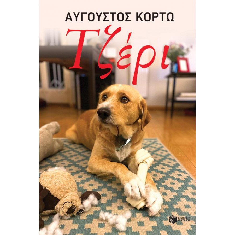 Τζέρι Τζέρι