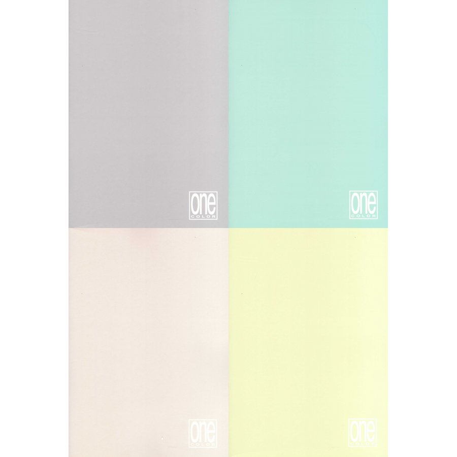 Blasetti Τετράδιο Καρφίτσα Α4 One Color σε Παστέλ Χρώματα (6580) Blasetti Τετράδιο Καρφίτσα Α4 One Color σε Παστέλ Χρώματα (6580)