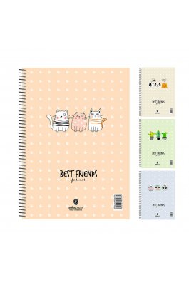 Salko Τετράδιo Σπιράλ Best Friends 17 x 25 4 Θεμάτων 120 Φύλλων (6454) Salko Τετράδιo Σπιράλ Best Friends 17 x 25 4 Θεμάτων 120 Φύλλων (6454)