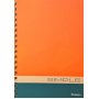 Daskalou Τετράδιο Σπιράλ 17 x 25 Simple 5 Θεμάτων 150 Φύλλων Daskalou Τετράδιο Σπιράλ 17 x 25 Simple 5 Θεμάτων 150 Φύλλων