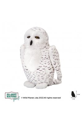 Wild Planet Λούτρινο All About Nature Λευκή Κουκουβάγια 20cm (K8682) Wild Planet Λούτρινο All About Nature Λευκή Κουκουβάγια 20cm (K8682)