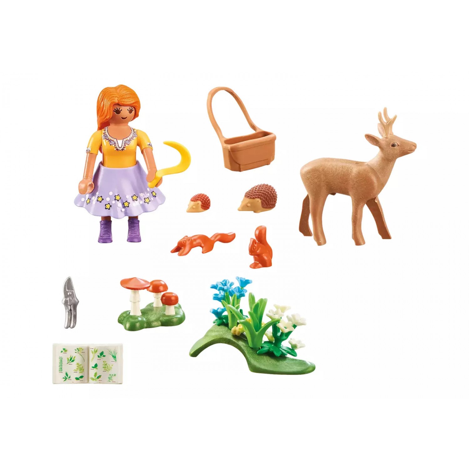 Playmobil Family Fun Βοτανολόγος (71188) Playmobil Family Fun Βοτανολόγος (71188)