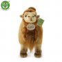 Rappa Λούτρινη Καμήλα 30 εκ. Eco-Friendly (230132) Rappa Λούτρινη Καμήλα 30 εκ. Eco-Friendly (230132)