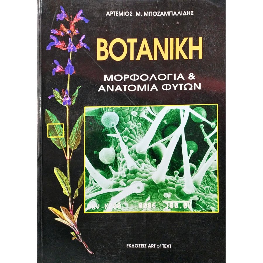 Βοτανική (Μορφολογία & Ανατομία Φυτών) Βοτανική (Μορφολογία & Ανατομία Φυτών)