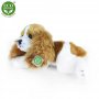 Rappa Λούτρινος Σκύλος Cavalier Ξαπλωτό 30 εκ. Eco-Friendly (203976) Rappa Λούτρινος Σκύλος Cavalier Ξαπλωτό 30 εκ. Eco-Friendly (203976)