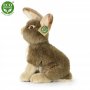 Rappa Λούτρινος Καφέ Λαγός Καθιστός 30 εκ. Eco-Friendly (221390) Rappa Λούτρινος Καφέ Λαγός Καθιστός 30 εκ. Eco-Friendly (221390)