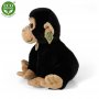 Rappa Λούτρινος Χιμπαντζής Καθιστός 28 εκ. Eco-Friendly (221796) Rappa Λούτρινος Χιμπαντζής Καθιστός 28 εκ. Eco-Friendly (221796)