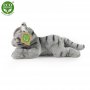 Rappa Λούτρινη Γκρί Γάτα Ξαπλωτή 18 εκ. Eco-Friendly (838123) Rappa Λούτρινη Γκρί Γάτα Ξαπλωτή 18 εκ. Eco-Friendly (838123)