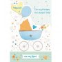 The Paper Box Baby Ευχετήρια Κάρτα Γέννηση Αγόρι 11,5 x 17 cm (TMB11GB) The Paper Box Baby Ευχετήρια Κάρτα Γέννηση Αγόρι 11,5 x 17 cm (TMB11GB)