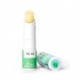 Legami Smack Natural Lip Balm Για Χείλη Pure Aloe (SMA0002) Legami Smack Natural Lip Balm Για Χείλη Pure Aloe (SMA0002)