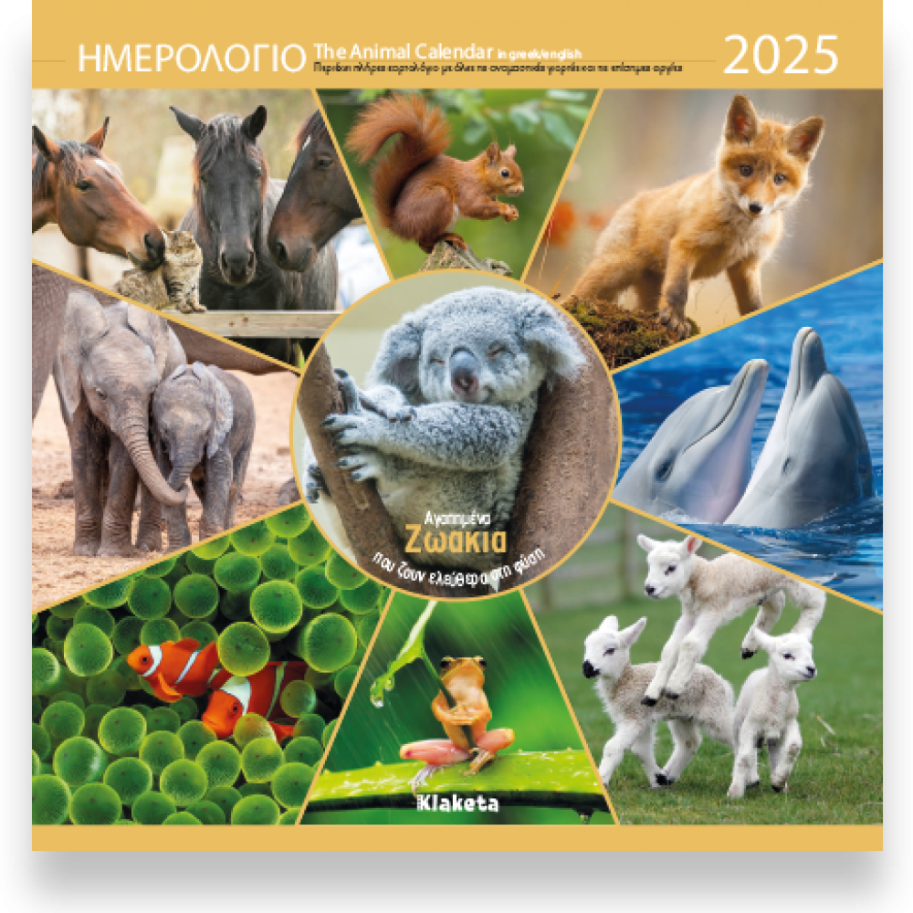 Klaketa Επιτοίχιο 2025 «Αγαπημένα Ζωάκια» 30 x 30cm (25005) Klaketa Επιτοίχιο 2025 «Αγαπημένα Ζωάκια» 30 x 30cm (25005)