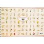 Unipap Μπλοκ Σπιράλ Φυτολόγιο 25 x 35cm Unipap Μπλοκ Σπιράλ Φυτολόγιο 25 x 35cm