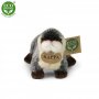 Rappa Λούτρινη Βίδρα 18 εκ. Eco-Friendly (107328) Rappa Λούτρινη Βίδρα 18 εκ. Eco-Friendly (107328)