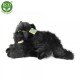 Rappa Λούτρινη Γάτα Μαύρη Ξαπλωτή 30 εκ. Eco-Friendly (220959) Rappa Λούτρινη Γάτα Μαύρη Ξαπλωτή 30 εκ. Eco-Friendly (220959)