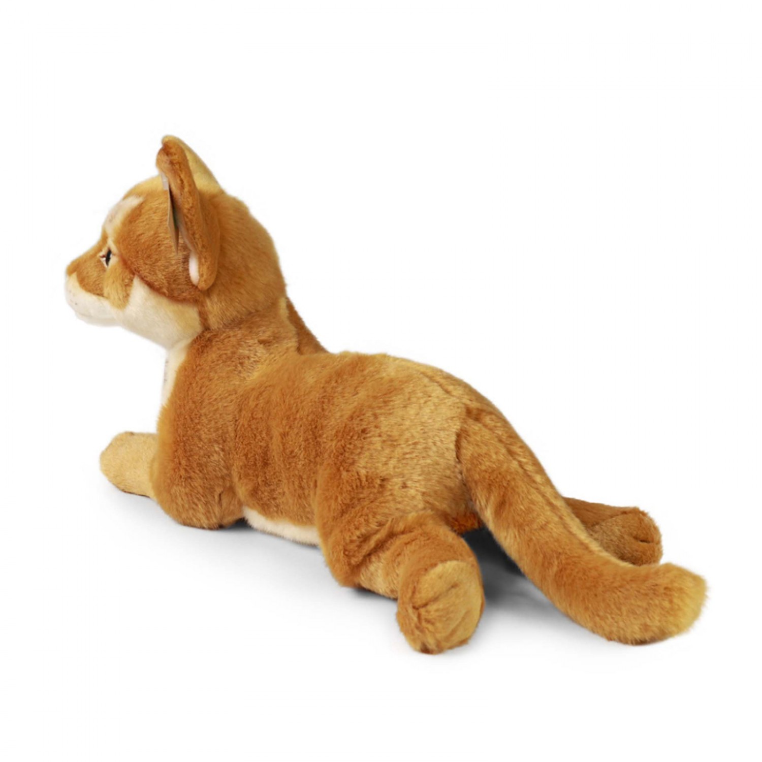Rappa Λούτρινη Γάτα Abyssinian 30 εκ. Eco-Friendly (240230) Rappa Λούτρινη Γάτα Abyssinian 30 εκ. Eco-Friendly (240230)