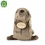 Rappa Λούτρινη Φώκια 24 εκ. Eco-Friendly (601444) Rappa Λούτρινη Φώκια 24 εκ. Eco-Friendly (601444)