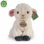 Rappa Λούτρινο Προβατάκι Καθιστό 18 εκ. Eco-Friendly (211414) Rappa Λούτρινο Προβατάκι Καθιστό 18 εκ. Eco-Friendly (211414)