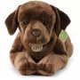Rappa Λούτρινος Σκύλος Labrador Retriever Καφέ Ξαπλωτός 61 εκ. Eco-Friendly (230163) Rappa Λούτρινος Σκύλος Labrador Retriever Καφέ Ξαπλωτός 61 εκ. Eco-Friendly (230163)