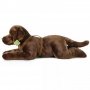 Rappa Λούτρινος Σκύλος Labrador Retriever Καφέ Ξαπλωτός 61 εκ. Eco-Friendly (230163) Rappa Λούτρινος Σκύλος Labrador Retriever Καφέ Ξαπλωτός 61 εκ. Eco-Friendly (230163)