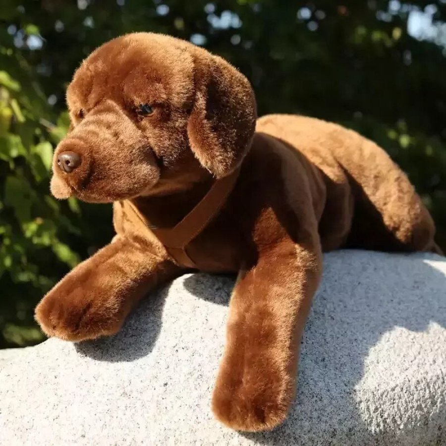 Rappa Λούτρινος Σκύλος Labrador Retriever Καφέ Ξαπλωτός 61 εκ. Eco-Friendly (230163) Rappa Λούτρινος Σκύλος Labrador Retriever Καφέ Ξαπλωτός 61 εκ. Eco-Friendly (230163)