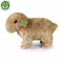 Rappa Λούτρινο Καπιμπάρα Ορθιο 30 Εκ. Eco-Friendly (230743) Rappa Λούτρινο Καπιμπάρα Ορθιο 30 Εκ. Eco-Friendly (230743)