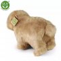 Rappa Λούτρινο Καπιμπάρα Ορθιο 30 Εκ. Eco-Friendly (230743) Rappa Λούτρινο Καπιμπάρα Ορθιο 30 Εκ. Eco-Friendly (230743)