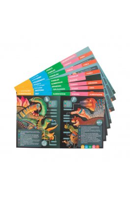 Apli Magnetic Box Dinosaurs (20139) Apli Magnetic Box Dinosaurs (20139)