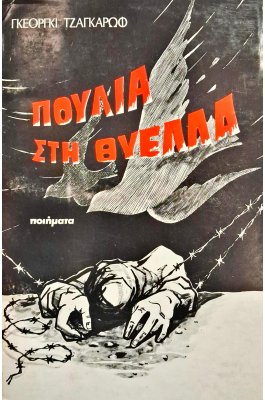 Πουλιά στη θύελλα
