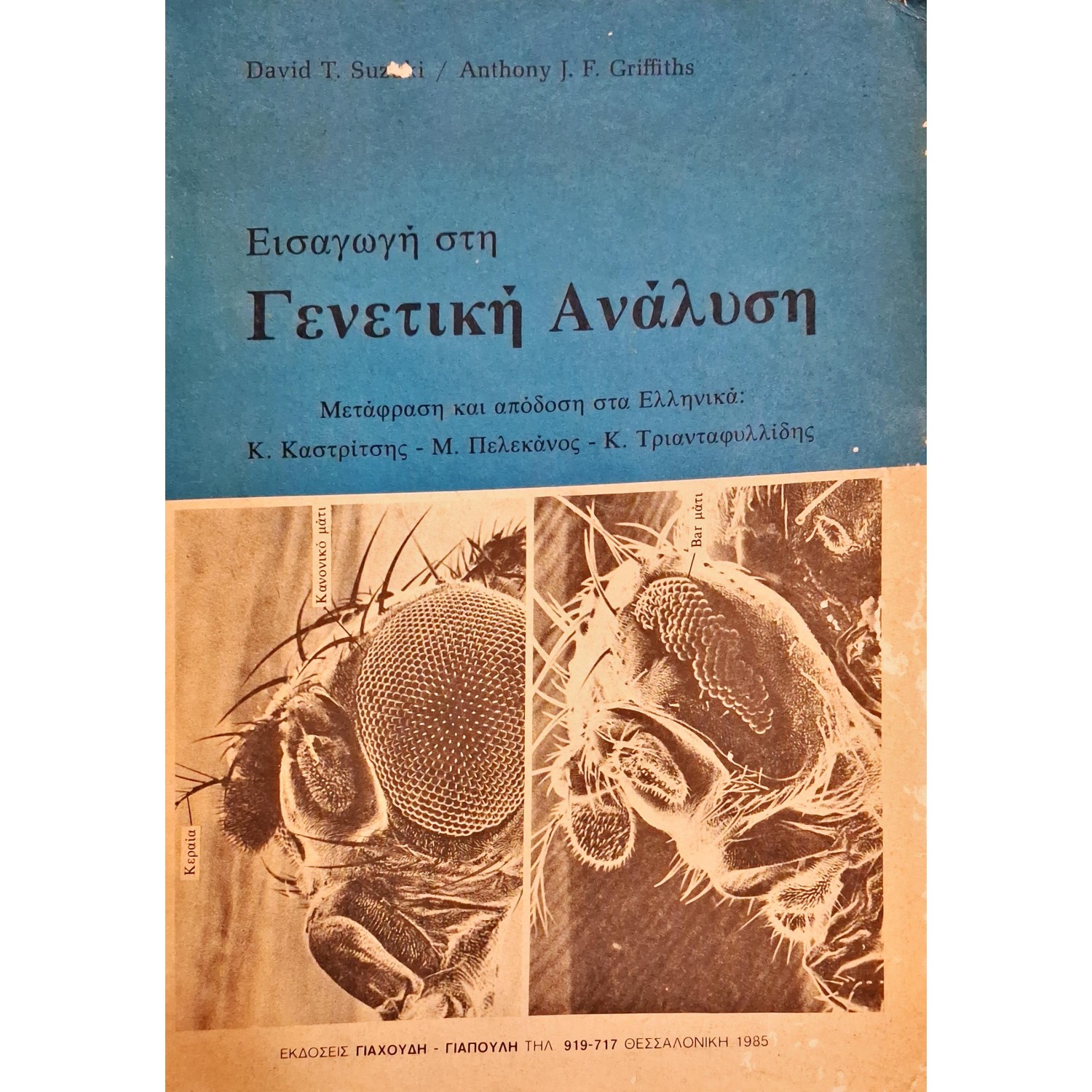 Εισαγωγή στη γενετική ανάλυση