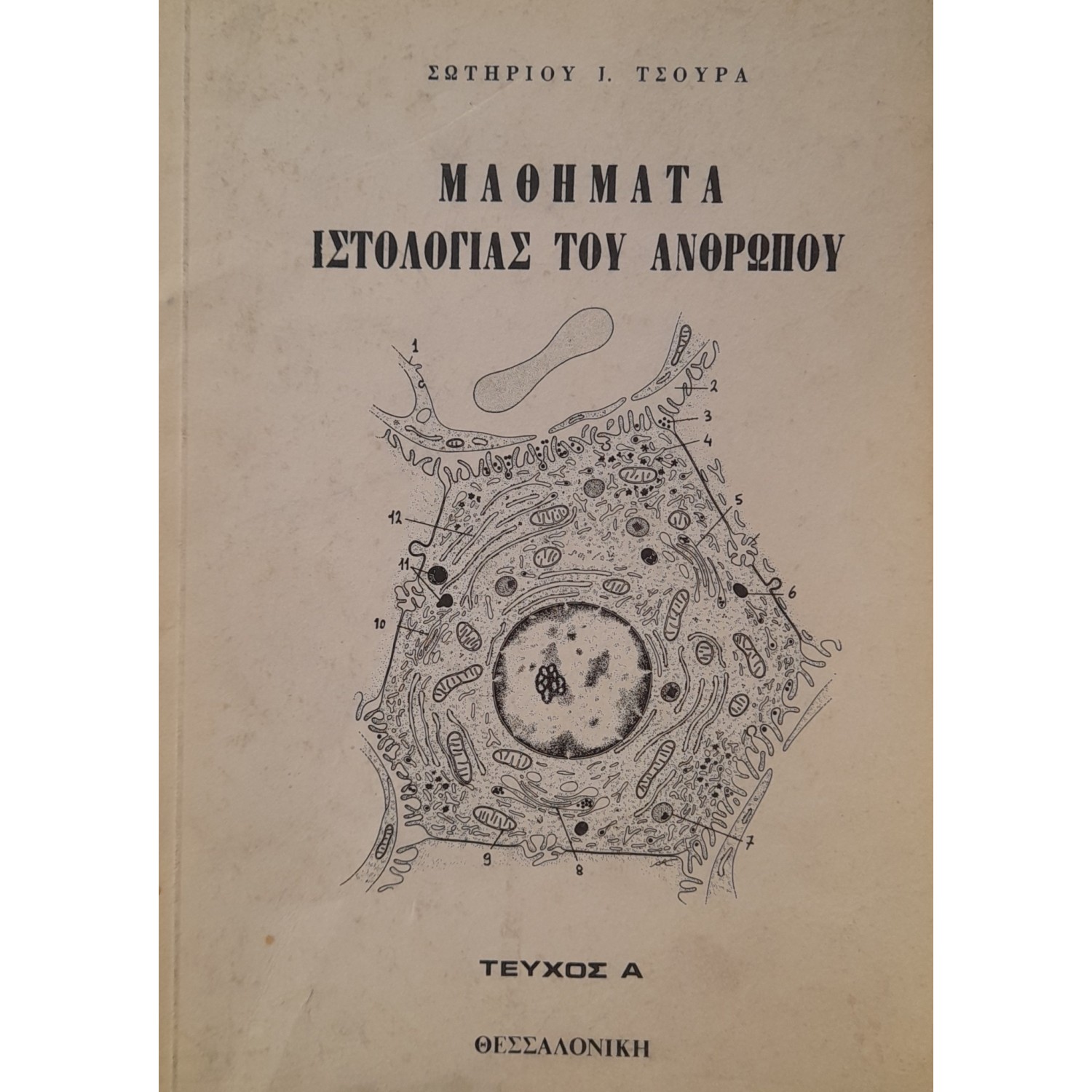 Μαθήματα ιστολογίας του ανθρώπου τεύχος Α'