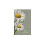 Linardatos Ατζέντα Εβδομαδιαία Flowers 2027 7 x 10,5 (71021)