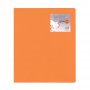 Typotrust Ντοσιέ P.P. με 2 D κρίκους Α4 Πορτοκαλί (FP1512306) Typotrust Ντοσιέ P.P. με 2 D κρίκους Α4 Πορτοκαλί (FP1512306)
