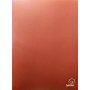 Typotrust Ντοσιέ με έλασμα και ράχη Καφέ (FP1600007) Typotrust Ντοσιέ με έλασμα και ράχη Καφέ (FP1600007)